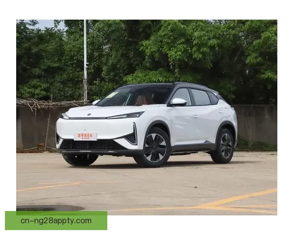 那不勒斯东风汽车合作2028 那不勒斯东风汽车合作2028